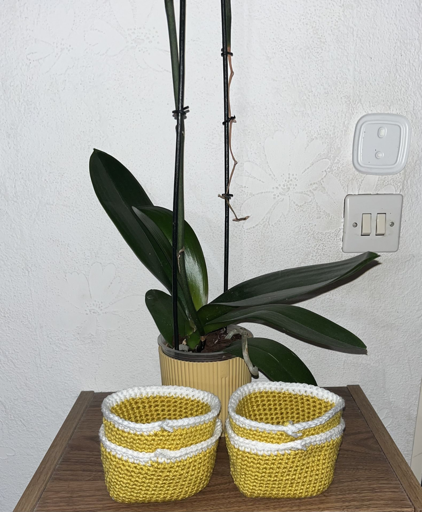 Lots de 4 petits paniers jaune moutarde et blanc